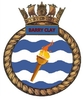 HMS_Barry_Clay_Crest_003.jpg
