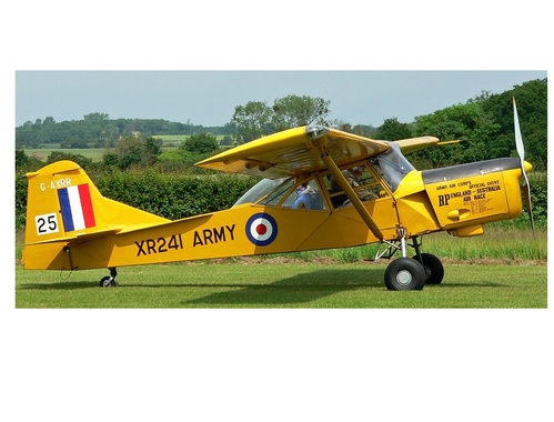 Auster AOP9
This is what I am aiming for,all yellow finish,very attractive
