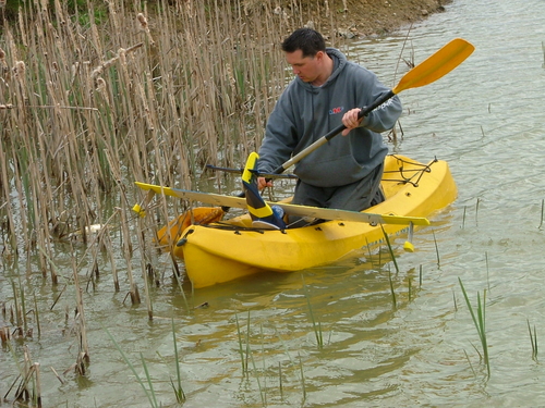 Stuck in the reeds
