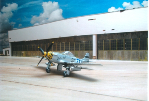 Second photo of P51D.
