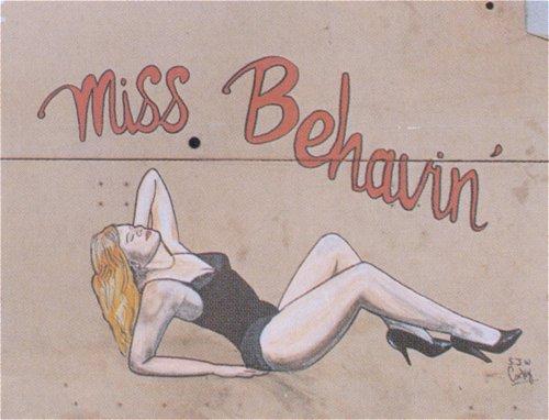 Miss Behavin
Keywords: miss behavin nose art markings