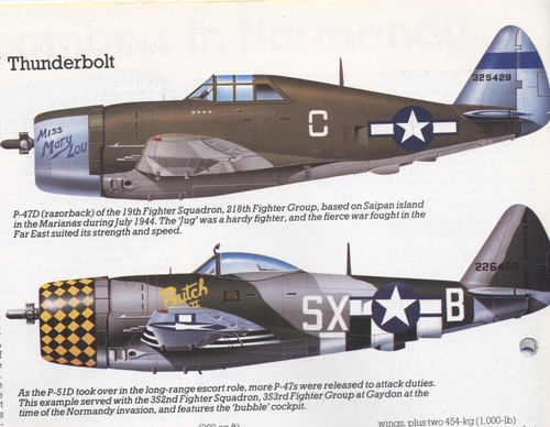 Thunderbolt P-47
Keywords: REPUBLIC THUNDERBOLT P-47.