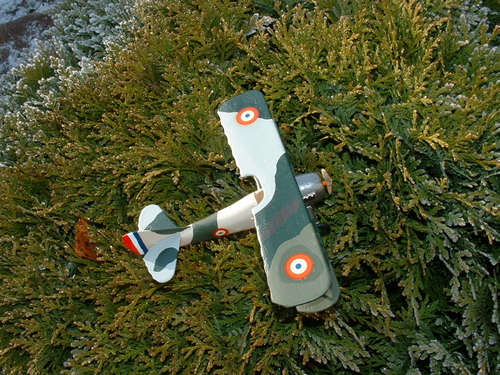 Spad C13
Spad S13 force landing in trees !
Keywords: spitfire