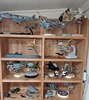 Collection_.jpg